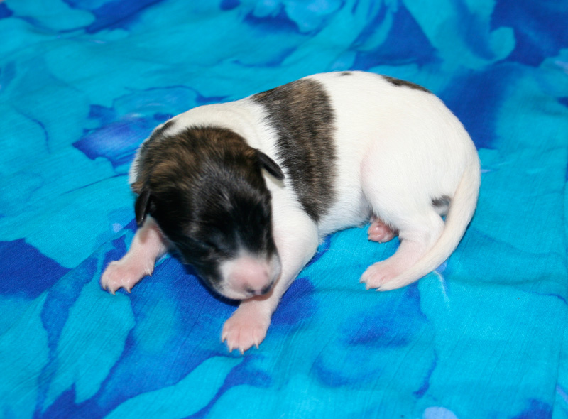 Surf Spots - Boy 2 Cute